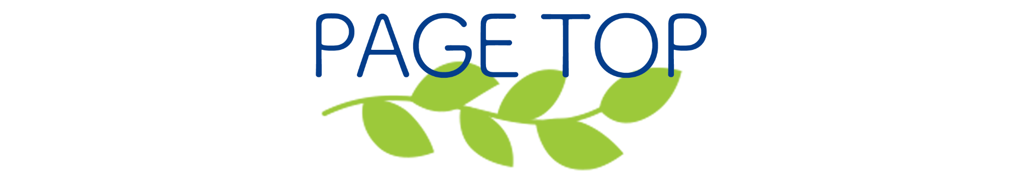 PAGE TOP